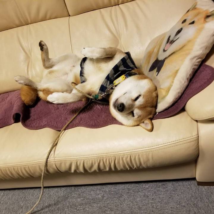 Fcc53968 8385 4e83 9e16 0cec0d67ee2b 1575804994255