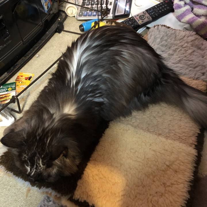 Fcc5563a 439e 4666 b383 34f934354f0a 1550786108393