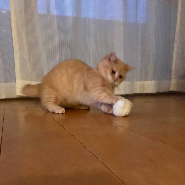 Fcc56d8e 8b84 4854 a560 282f76057475 1517447163998