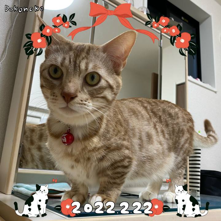 Fcc58596 29fe 4262 8c2c a6e4871f0d7e 1645496853628