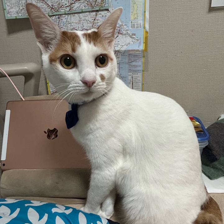 Fcc58af1 045e 4d49 87f4 4c4507228e77 1761208308971