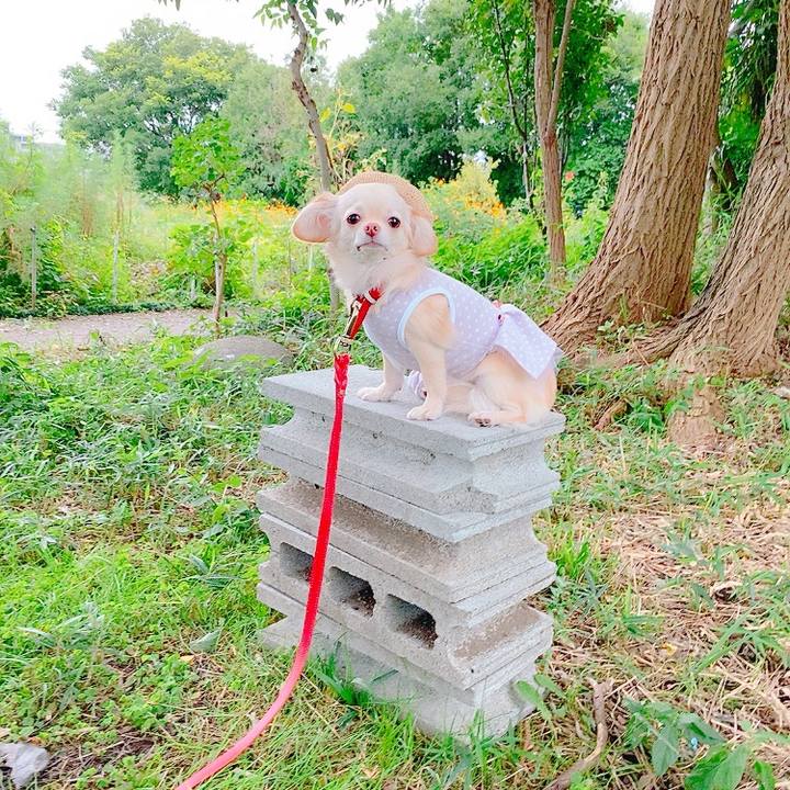 Fcc5c53f 6f67 4055 8f95 a67f49ba064f 1631451176676