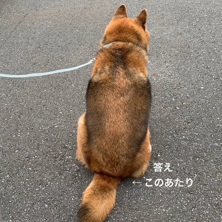 Fcc5efae 7412 487b a0cf fdb4d9c9c86b 1720875083445