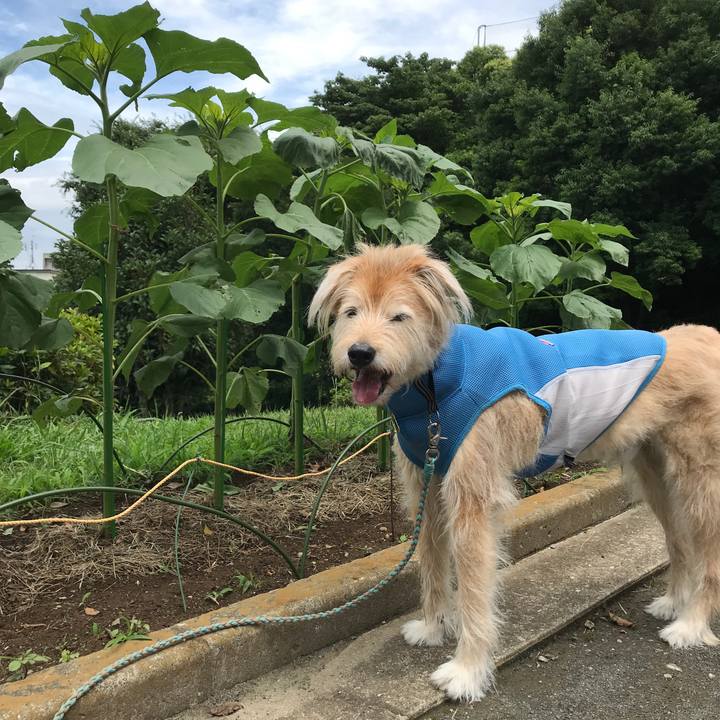 Fcc60a93 52e3 4a4f bbb5 07b6d0f8c32f 1592905387190