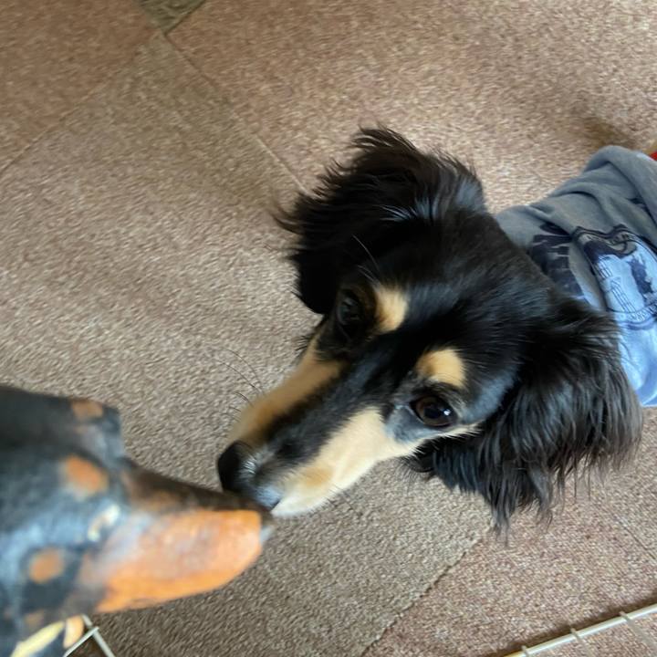 Fcc62e2f 2881 4871 a80e 6fd2d6a2bc11 1710633166703