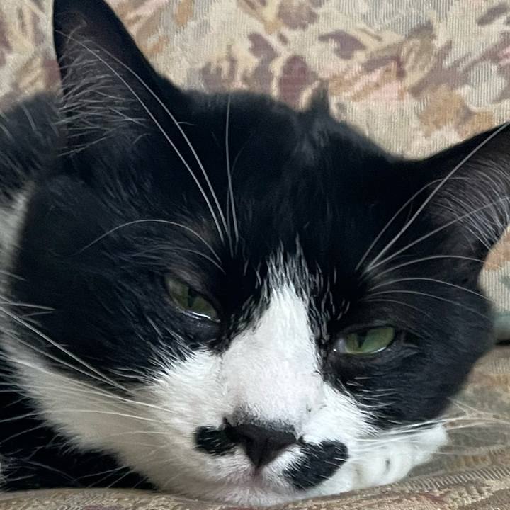 Fcc64cf4 a3b7 4aa5 8411 f3987776ba62 1681869598966