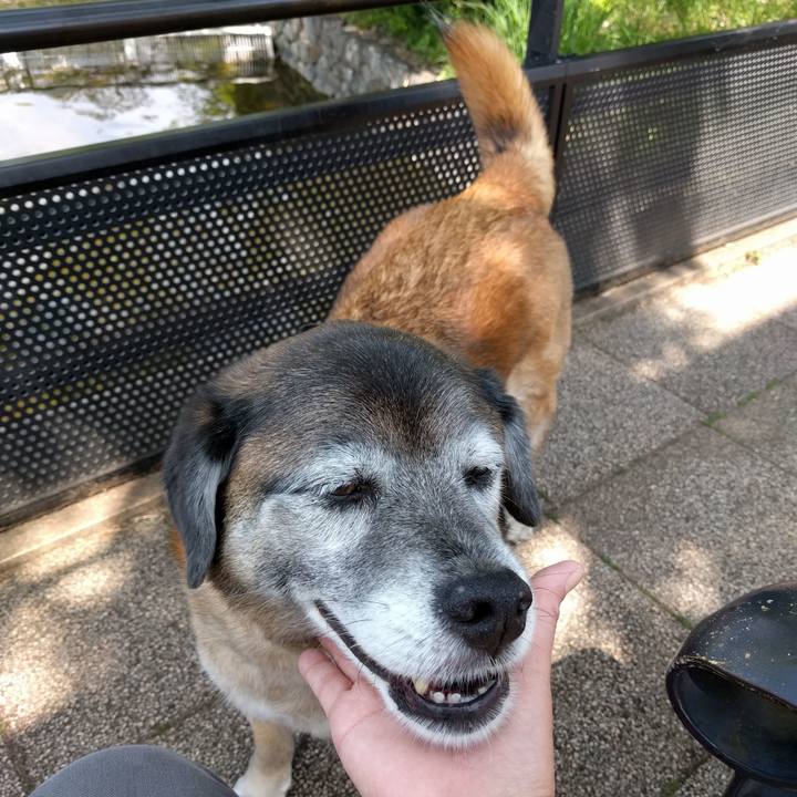 Fcc6557a 15c5 4d44 bc17 32f7b2fa60f8 1556933218518