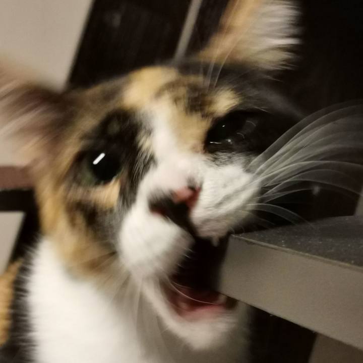 Fcc6d1bb 9349 4745 9343 9f134a17c4fa 1605102334281