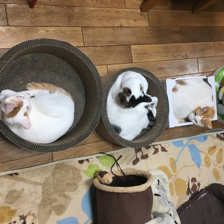 Fcc71d36 3f24 49ce 8dcd d11d16336f78 1514545820405