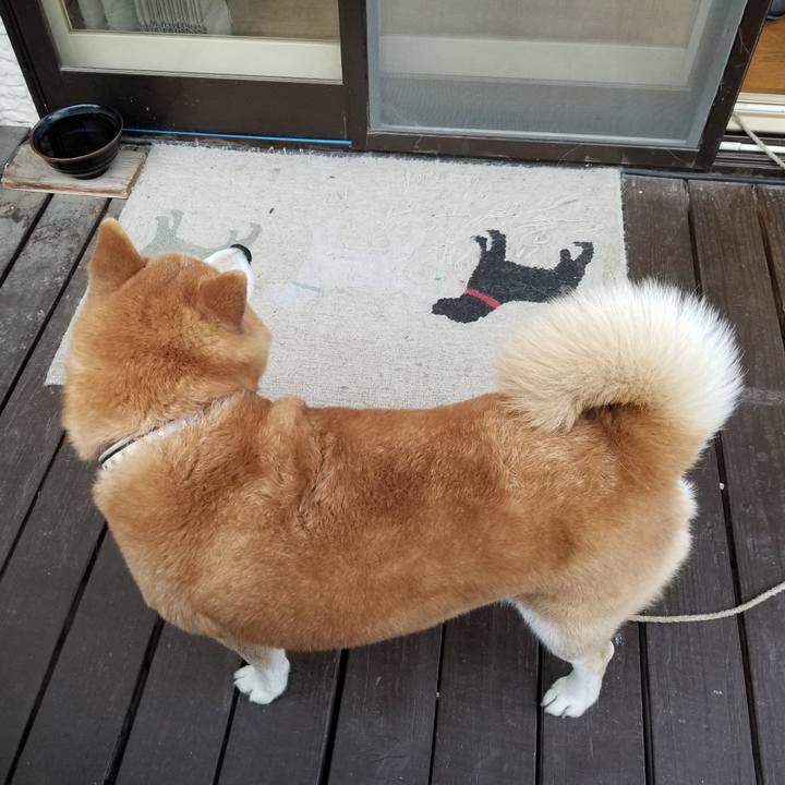 Fcc71e61 2f07 414b aa18 2393fe66e331 1620119277786