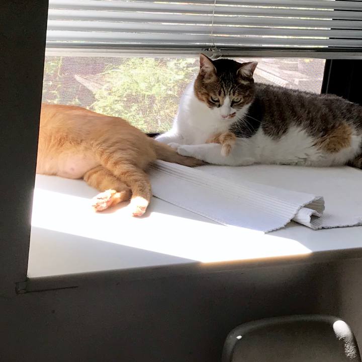 Fcc736e7 8154 4cb4 aacf 469f64e98c87 1564976655964