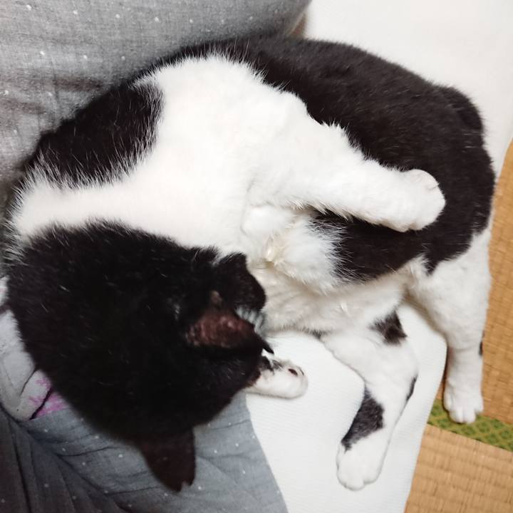 Fcc73f38 7d97 49d3 9555 ed28de29b5a4 1631227959917