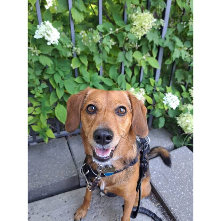 Fcc7457c dd65 4a94 8d44 b5b4367065b7 1758228785592