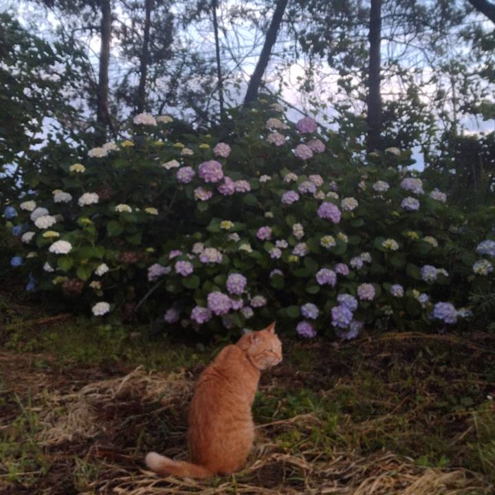 Fcc7748b b287 4b11 8f64 458505349a94 1719180651487