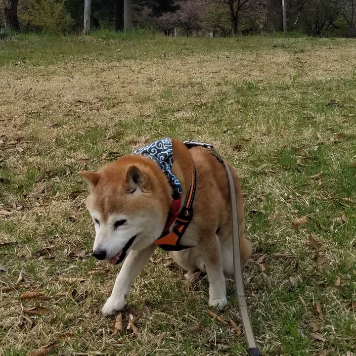 Fcc7c199 5d19 419e 93d4 3090c647f09e 1713858253847