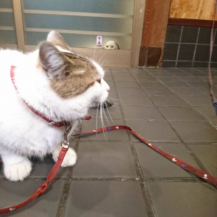 Fcc7c8ef c324 471c 90c4 c3d83048a31a 1531741174117