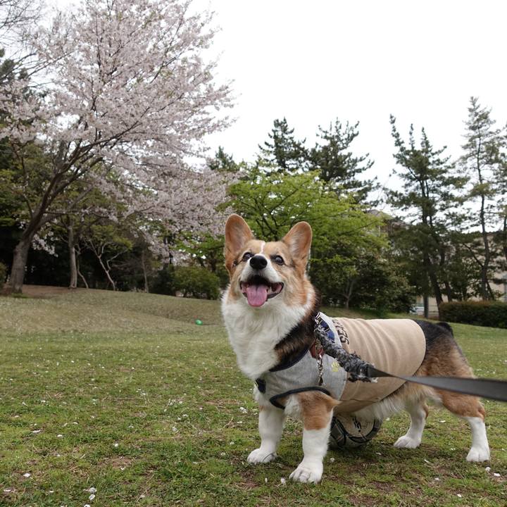 Fcc7d14c 4fa2 414d b390 dc5773ed56ba 1763964652719