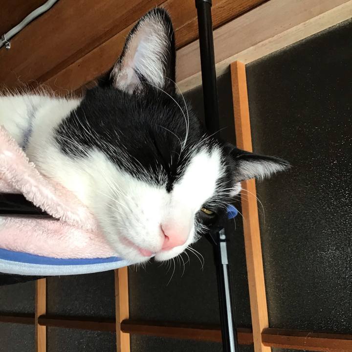 Fcc7d90c d3e3 4e1c 88de bc3750c76640 1645415682564