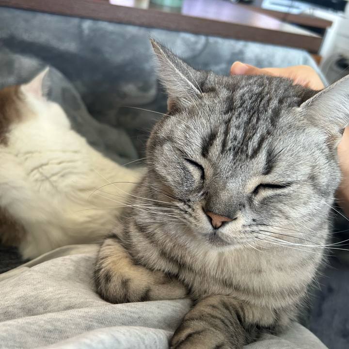 Fcc7ec76 20da 4ab6 ba5c 2bc21e3041cc 1738373531375