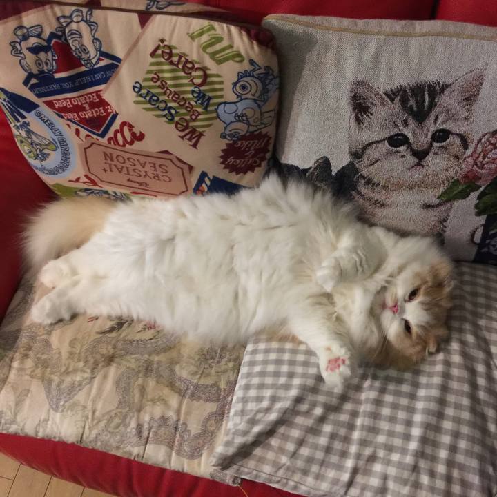 Fcc88a50 ee28 4407 8a2d 67f4fc40ee6f 1537791247918