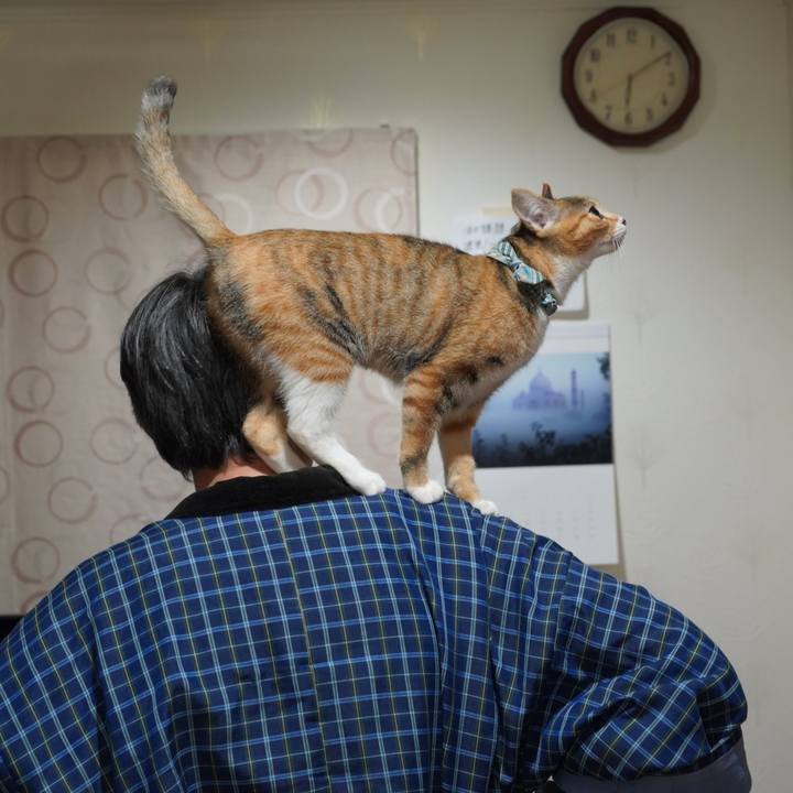 Fcc89ead 5351 4314 8490 34987177872f 1581584497570