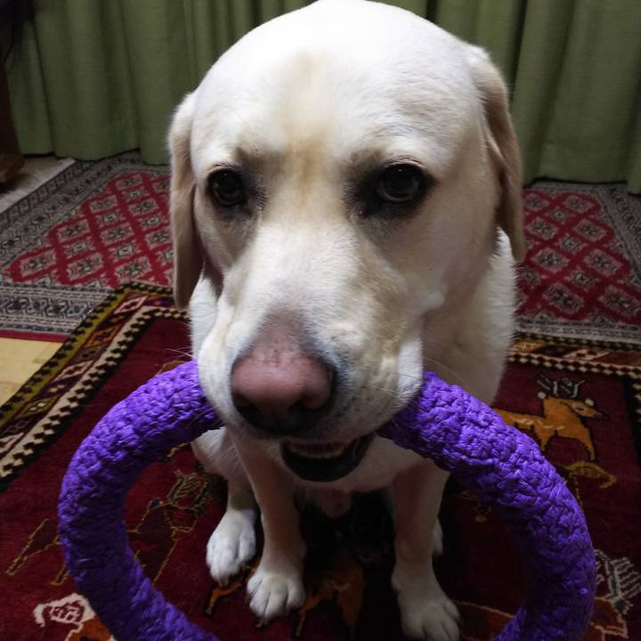 Fcc8b361 acba 4422 bd7b a1cb8f628ce6 1560772834098