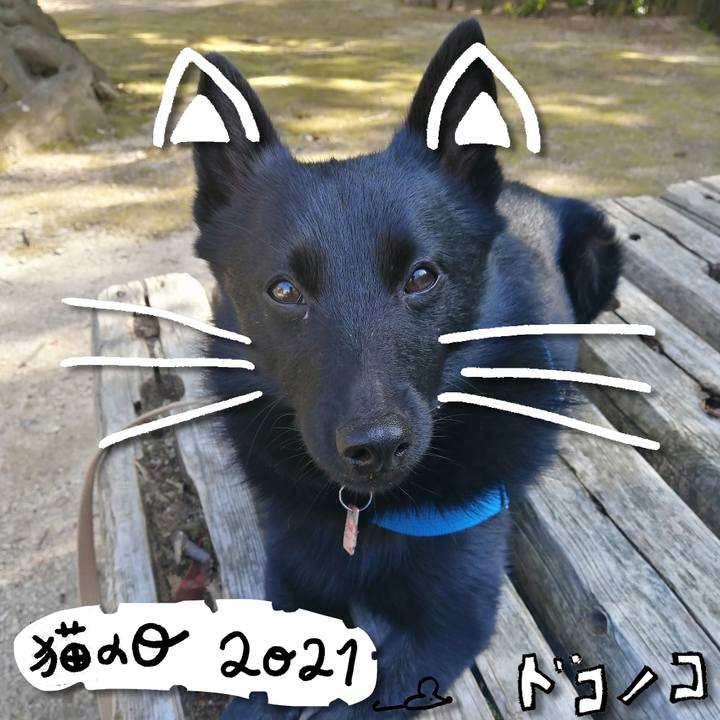 Fcc8d5f6 91ef 475a b10e dc0734b9bbfd 1613987277541