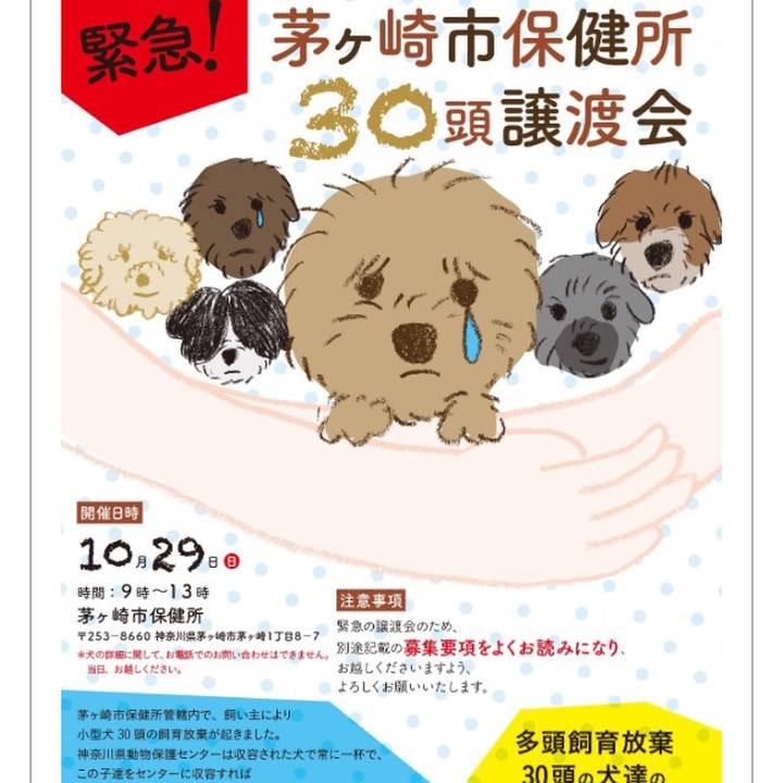 Fcc8e2aa 5ac7 44d4 8c04 71b867403483 1508944558563