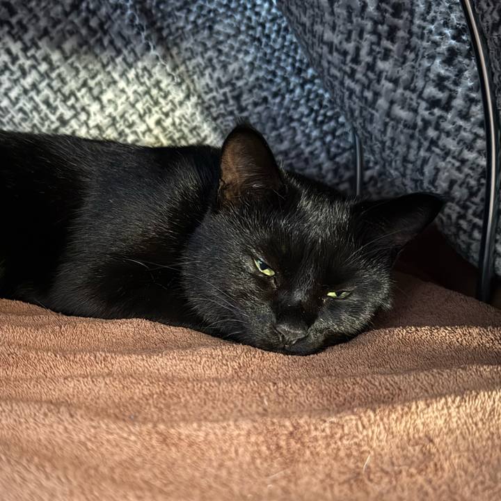 Fcc90ddb 2b0f 423f a399 5b75c6ca21f9 1763338599933