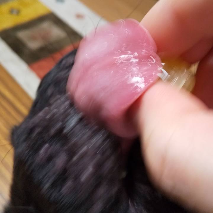 Fcc910b4 d4ae 4943 9727 5952fb87e142 1592568659068