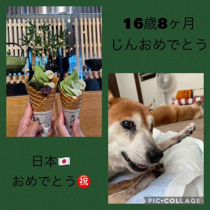 Fcc92cef 79cd 4564 8aec 4868d7ceb565 1627209997650