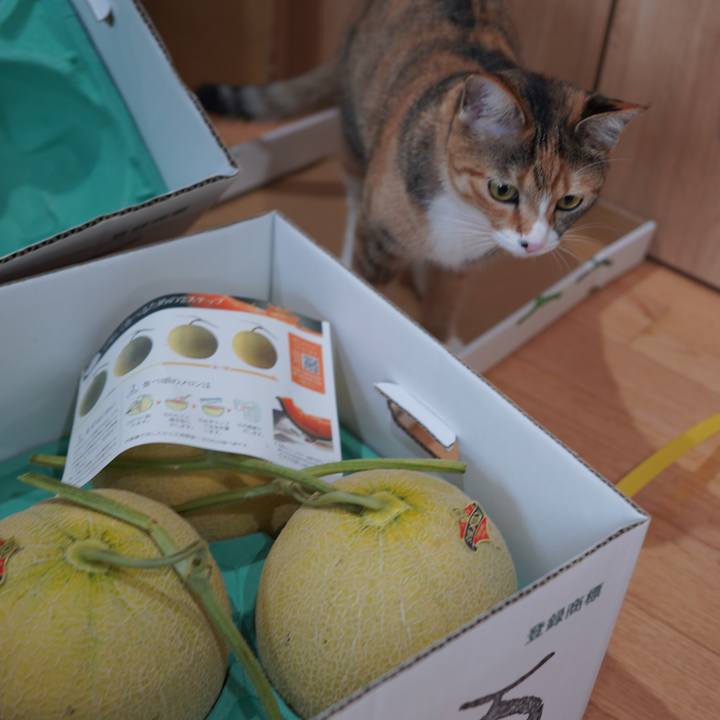 Fcc94bcd f38b 4fad 910c a9921d931d01 1595335973733