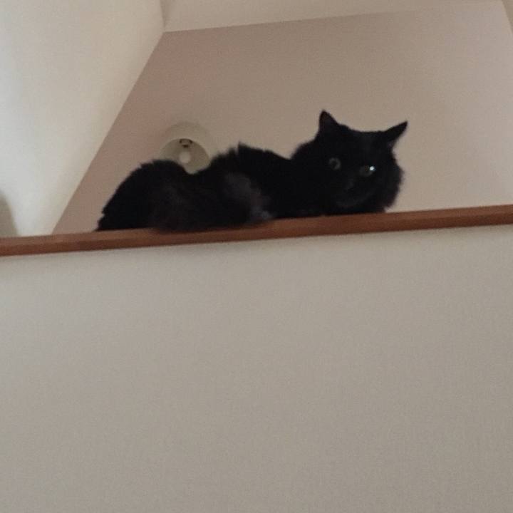 Fcc95c26 2d59 43b1 b75f 7fbefeb6f042 1510216258566