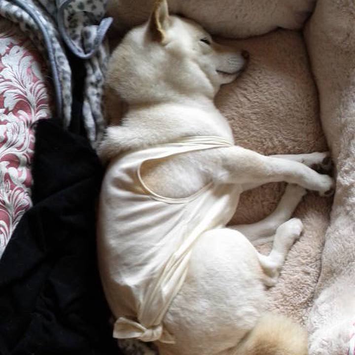 Fcc95f8c 3d23 4b54 8b74 cd70df173793 1635246165155