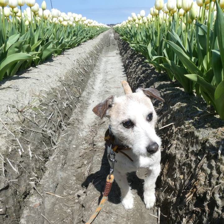 Fcc9bd99 0621 4b35 bbe3 6aafbbb3c981 1618837954078