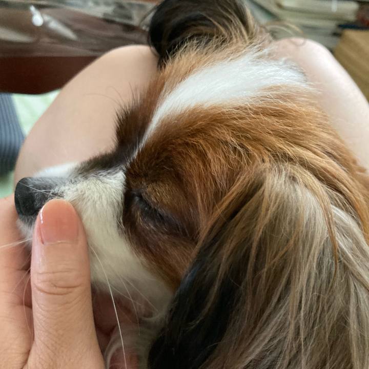 Fcc9c520 382c 4e67 9a96 29de8e8caf1a 1631241672216