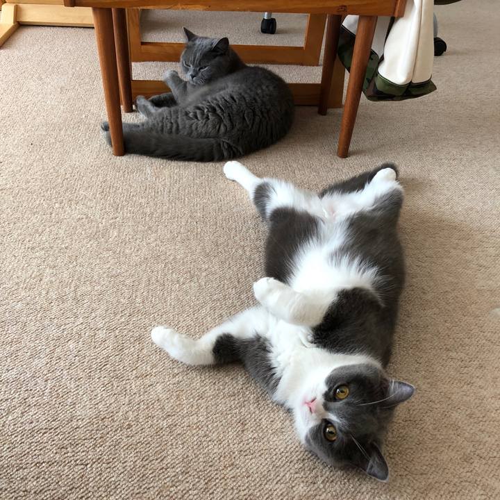 Fcca4841 b87f 4708 810a 89a13bdc4ae2 1532134586876