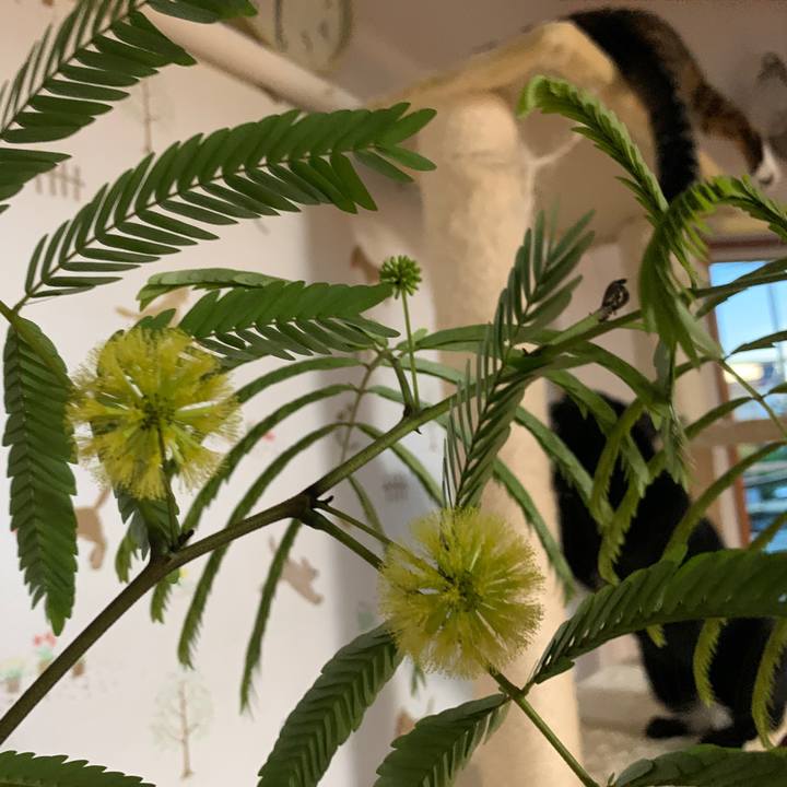 Fcca9ec6 7185 45cf b034 cc875af2760c 1656326479298