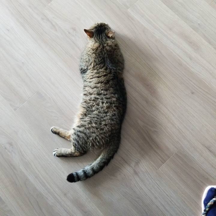 Fccab4d0 73a9 4845 a4ca 576b146b95aa 1560665336602