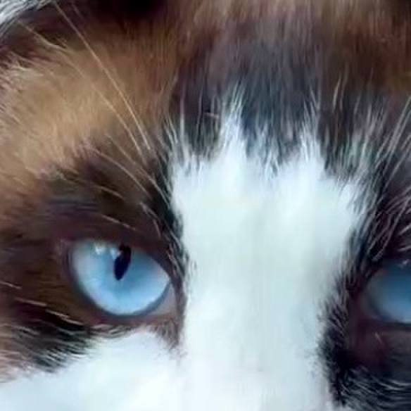 Fccac13a 564a 4572 b400 68efebf0767f 1747467543640