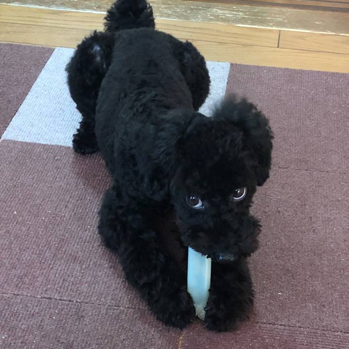 Fccaed44 aa76 40d1 9f0b 3f4d42e5c519 1512265364651