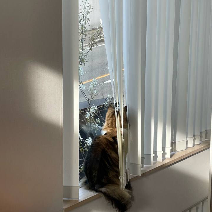 Fccb0844 f59a 4fe1 817e d35005740ee0 1712906083060