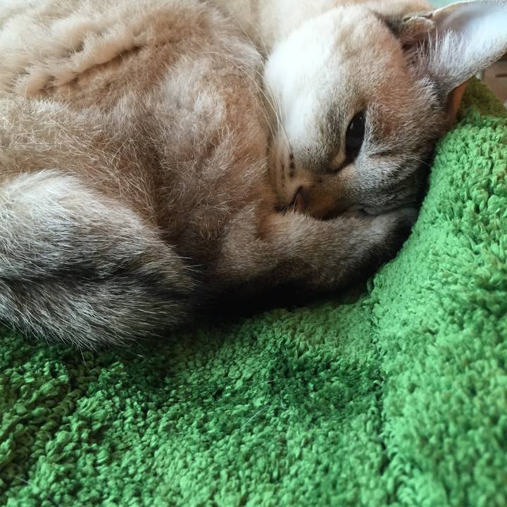 Fccb0f18 434e 4599 be2f 0e026baf2f03 1540533772974