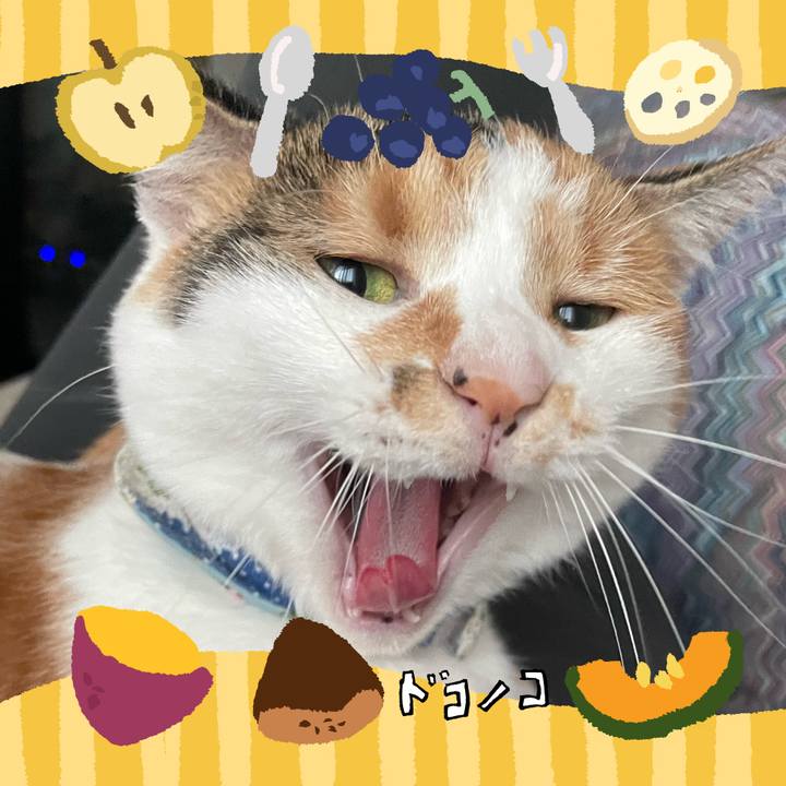 Fccb784d 4b01 4ad9 ab32 2d05e64fa5c3 1726909012148