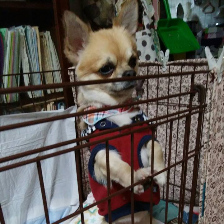 Fccbac4a ac6b 4ac5 818b 5550ed6e491d 1510734907044