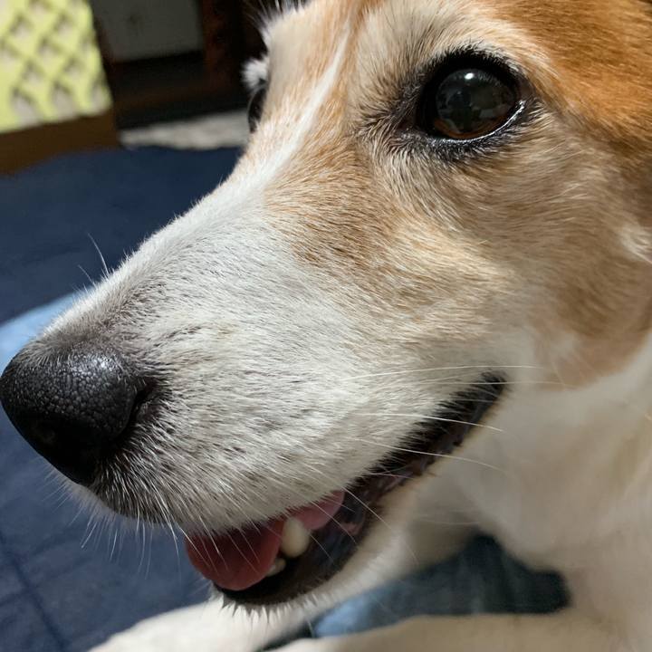 Fccbba62 8172 4d90 9b4a 555d32a401fa 1563638514430