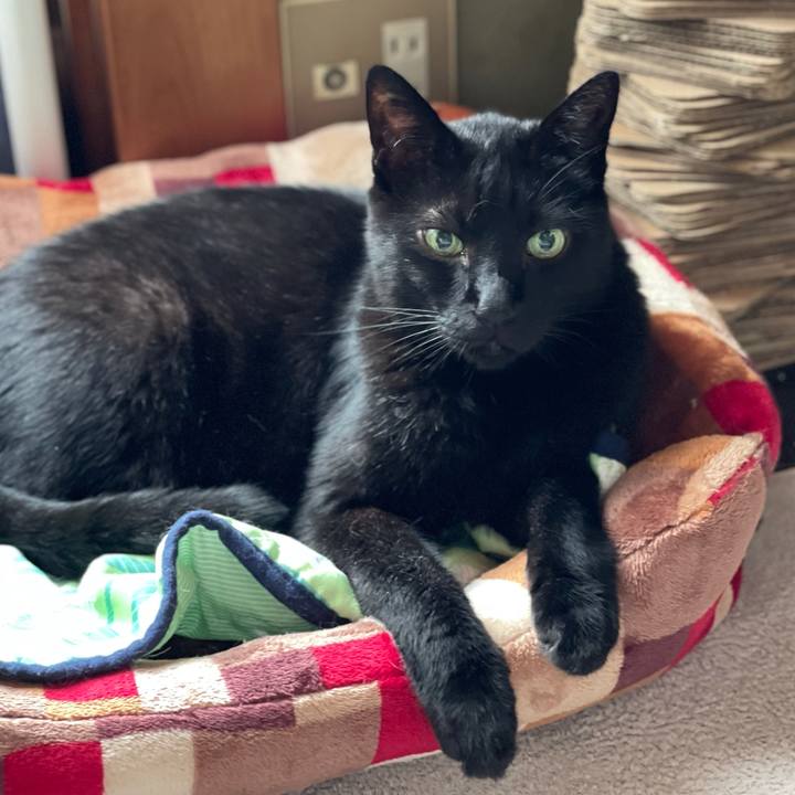 Fccbd0ca a318 491d abd6 d201d0da09b4 1625533124210