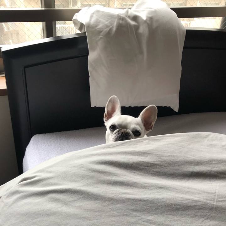 Fccbdbd3 011f 4034 a5da da56cf7d144a 1605177170500