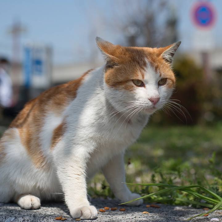 Fccc0dc2 ddd2 4984 ab30 60819fb95762 1554742843312