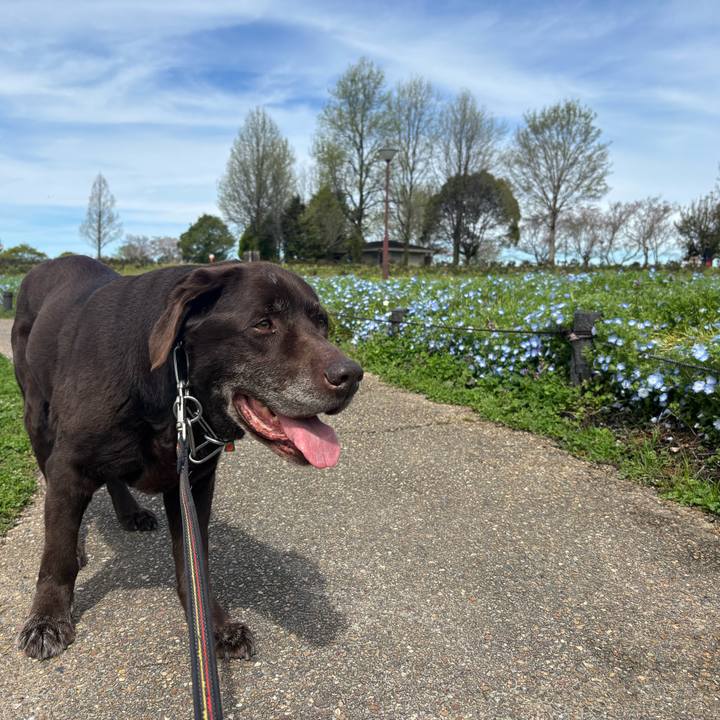 Fccc49be 164b 4d55 b1ec cf3d8b44bf2a 1775476875510